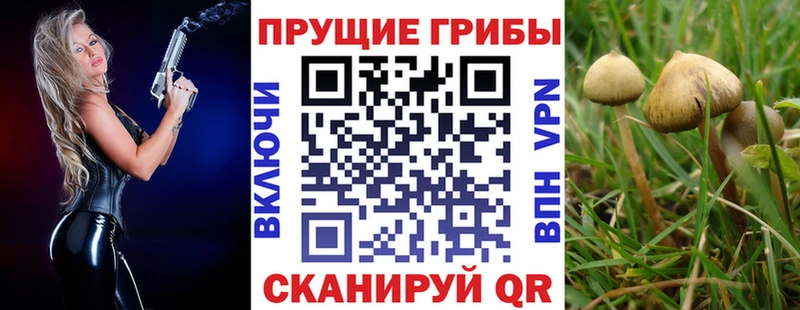 Галлюциногенные грибы Cubensis Белогорск